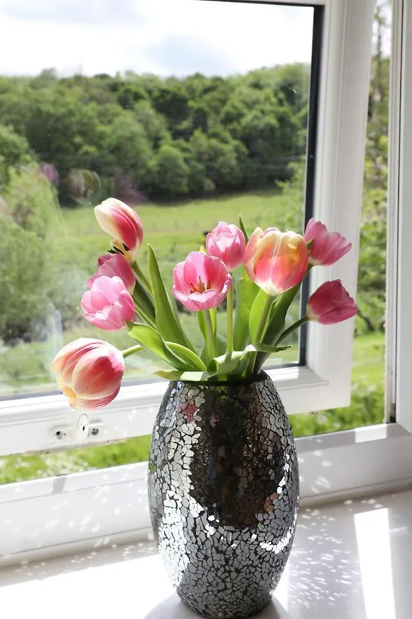 Beautiful Cozy 3 Bedroom 2 Bathroom Apartment Newcastle upon Tyne